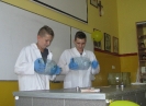 Pokazy chemiczne uczniów klas gimnazjalnych