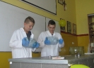 pokazy chemiczne _16