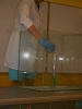 pokazy chemiczne _67