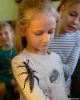 Wystawa zwierząt egzotycznych w dniu 5 XII 2018