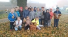 Fotografie 2019/2020