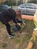 Sadzimy drzewa w dniach 14 - 29 IX 2020